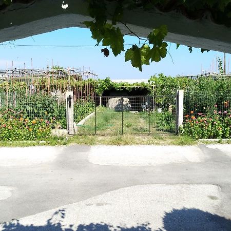 Grigorios Apartments Vrasná المظهر الخارجي الصورة